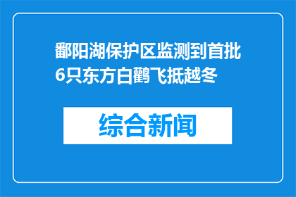 鄱阳湖保护区监测到首批6只东方白鹳飞抵越冬