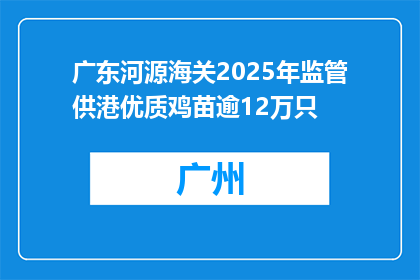 广东河源海关2025年监管供港优质鸡苗逾12万只