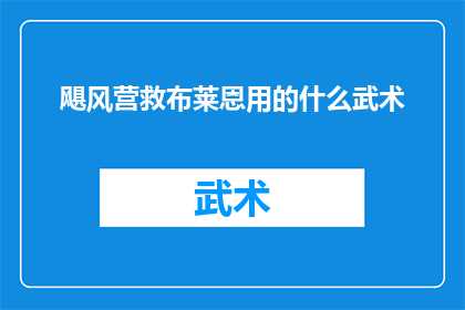 飓风营救布莱恩用的什么武术(布莱恩在飓风营救中所使用的武术技巧是什么？)
