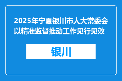2025年宁夏银川市人大常委会以精准监督推动工作见行见效